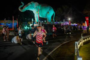 BIB: 
                            <button type="button" onclick="openModal(26552359)" class="btn btn-primary btn-sm float-right btn-popup" data-toggle="modal" data-target=".modal-high-quality">
                        <i class="fas fa-shopping-cart"></i> Add to Cart
                    </button>
                                            <button type="button" onclick="isThisMe(26552359, true)" class="btn btn-success btn-sm float-right btn-popup btn-isme hidden" data-toggle="tooltip" data-placement="bottom" title="นี่คือรูปของคุณใช่ไหม คลิกที่นี่เพื่อเอาเข้าอัลบั้ม">
                        <i class="fas fa-plus"></i> Add to album
                    </button>
                    <button type="button" onclick="isThisMe(26552359, false)" class="btn btn-warning btn-sm float-right btn-popup btn-isnotme hidden">
                        <i class="fas fa-ban"></i> Remove from album
                    </button>